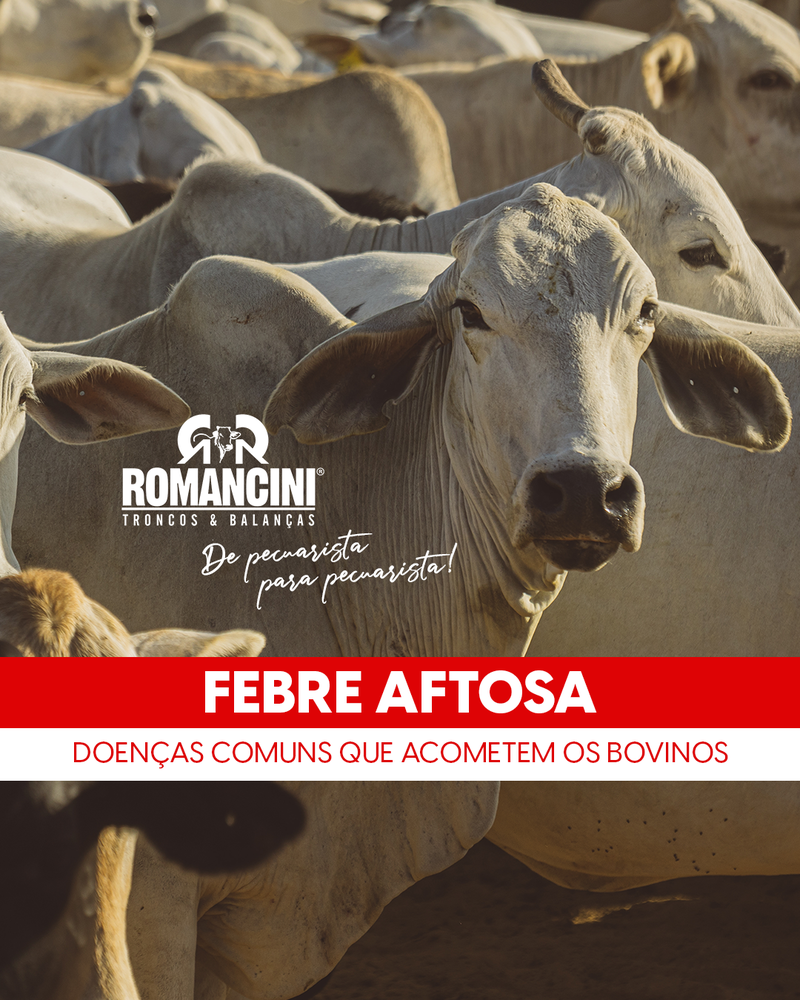 FEBRE AFTOSA
